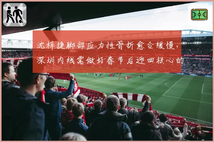 沈梓捷脚部应力性骨折愈合缓慢,深圳内线需做好春节后迎回核心的准备