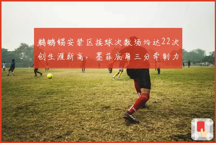 鹈鹕锡安禁区接球次数场均达22次创生涯新高，墨菲底角三分牵制力激活内线空间__br_