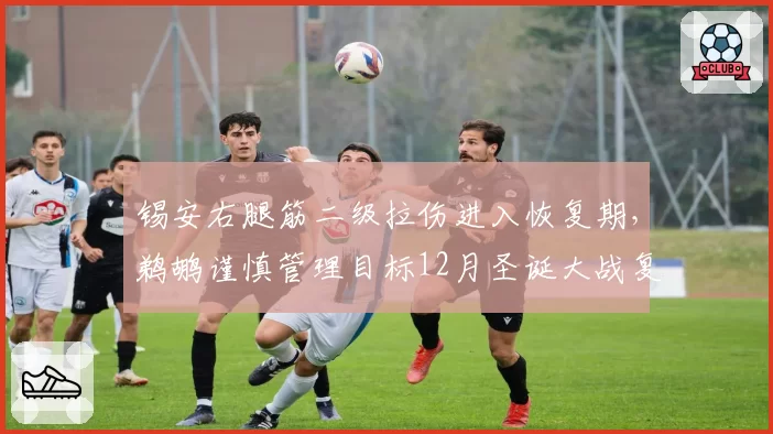 锡安右腿筋二级拉伤进入恢复期,鹈鹕谨慎管理目标12月圣诞大战复出