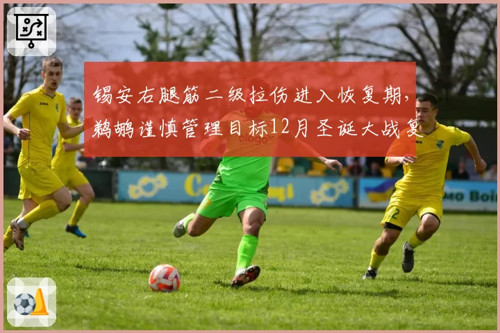 锡安右腿筋二级拉伤进入恢复期，鹈鹕谨慎管理目标12月圣诞大战复出